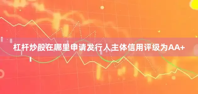 杠杆炒股在哪里申请发行人主体信用评级为AA+